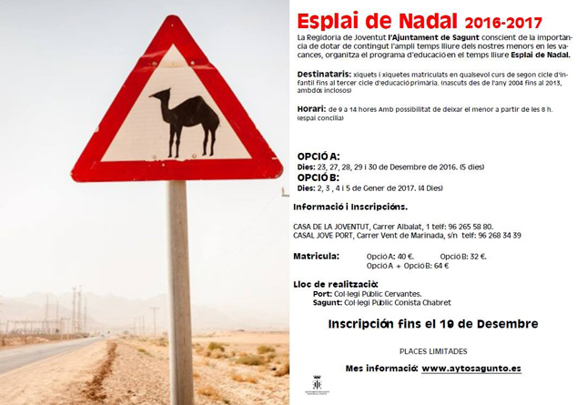 Juventud organiza el Esplai de Nadal 2016-2017