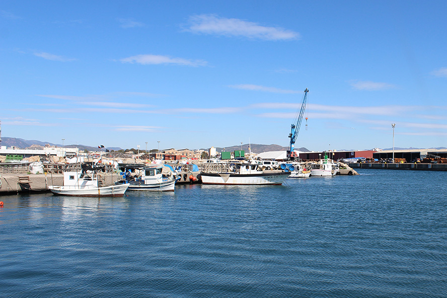 El pleno de la corporación municipal concede la Medalla de Oro de la ciudad a la Cofradía de Pescadores Virgen del Carmen