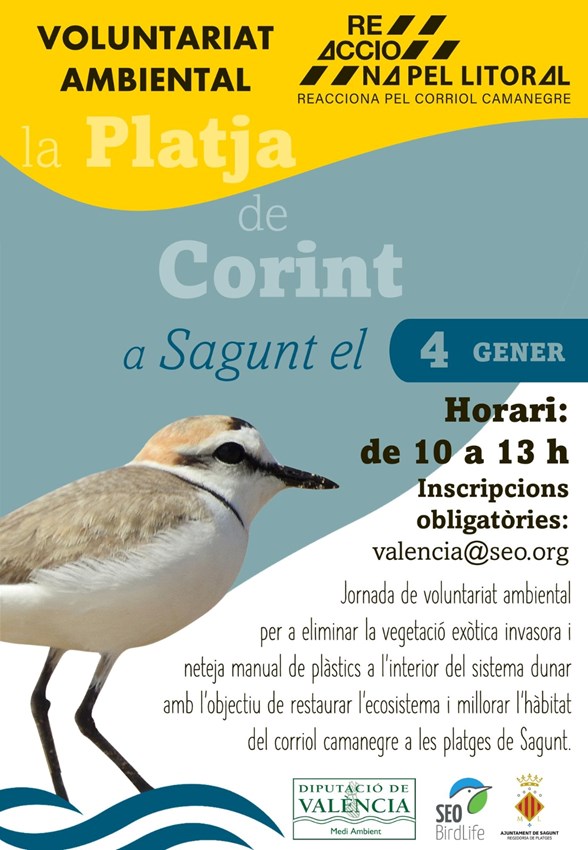 Cartell de l'activitat