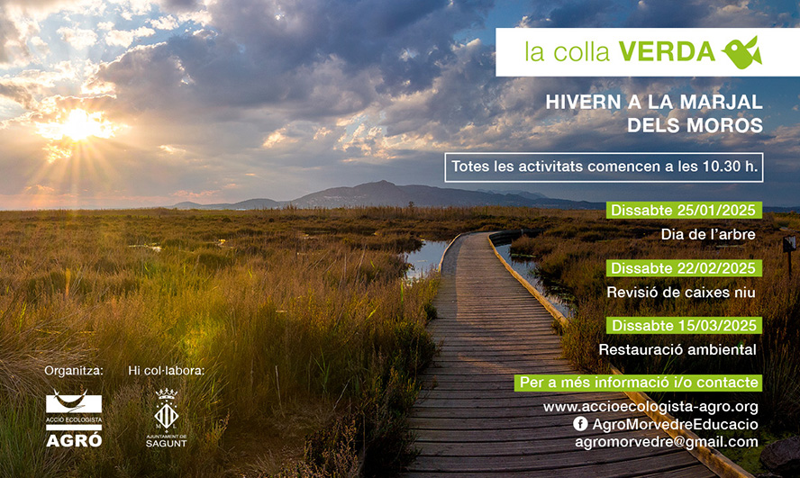 La Colla Verda comienza el 2025 invernando en el marjal dels Moros