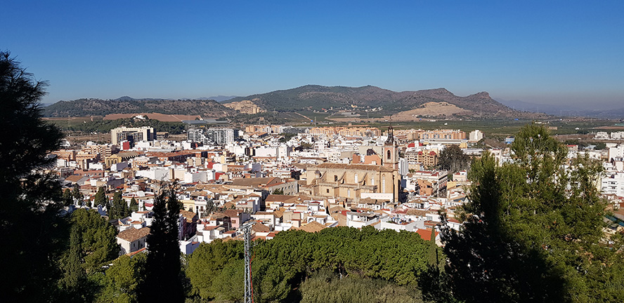 Sagunto despierta el interés en países internacionales de los que hasta el momento no se tenían registros