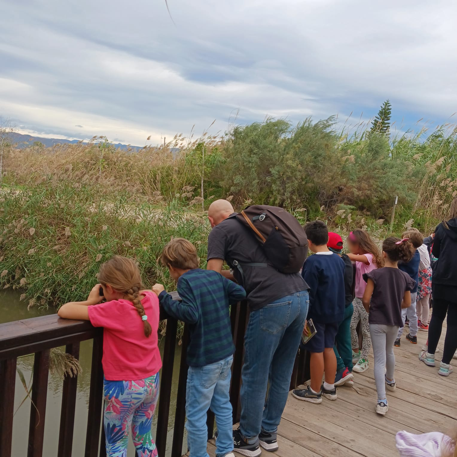 Este curso los colegios e institutos podrán visitar La Casa Penya y descubrir la Marjal de Almardà-Almenara