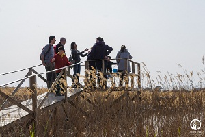 El Ayuntamiento de Sagunto y Acció ecologista-Agró programan “Verano de puertas abiertas en la Casa Peña”
