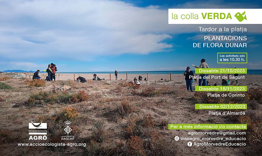 La Colla Verda programa tres plantaciones de flora dunar para este otoño