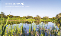La Colla Verda y Acció Ecologista-Agró organizan una visita guiada por la Marjal dels Moros