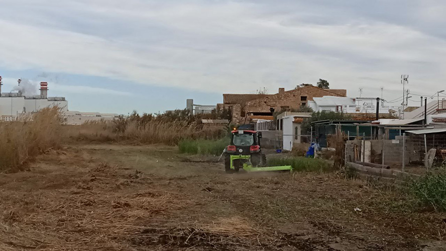 El Consell Agrari finaliza las actuaciones de limpieza y desbroce de la faja perimetral del Grao Vell