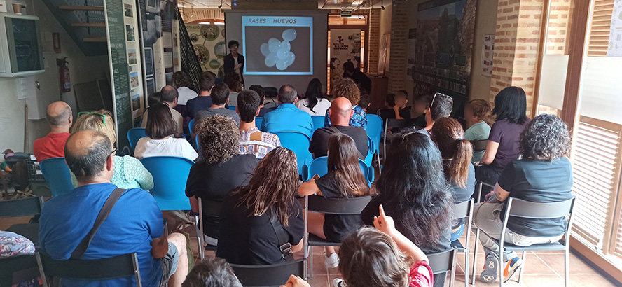 Un taller sobre hormigas pone fin a las actividades primaverales de La Casa Penya