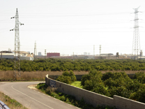 El Ayuntamiento de Sagunto y Diputación de Valencia impulsan el Banco de Tierras