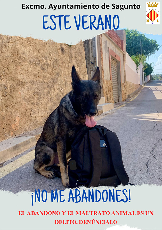 El departamento de Sanidad y Bienestar Animal informa a la ciudadanía sobre el protocolo a seguir en caso de encontrarse un animal extraviado