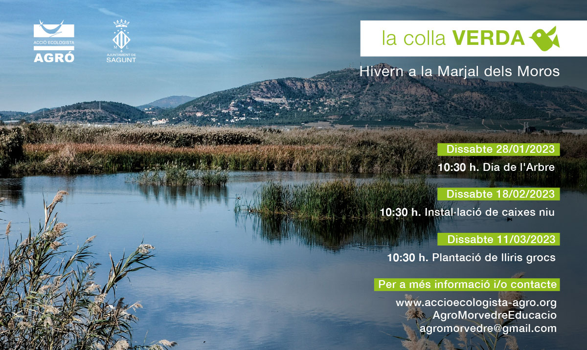 La Colla Verda programa voluntariados en la Marjal dels Moros