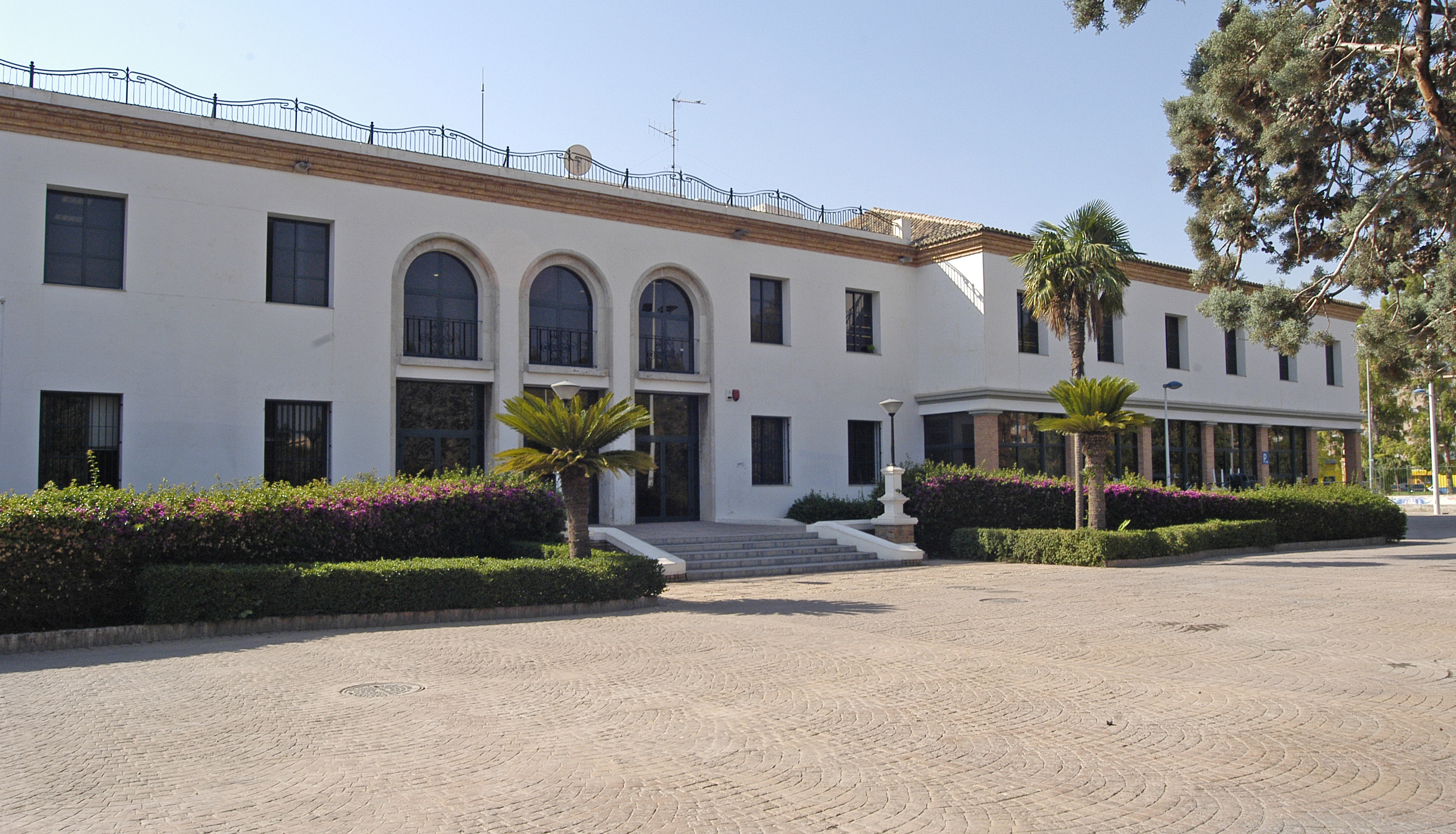 El Ayuntamiento de Sagunto celebra el Día del Mayor con actividades del 30 de septiembre al 7 de octubre